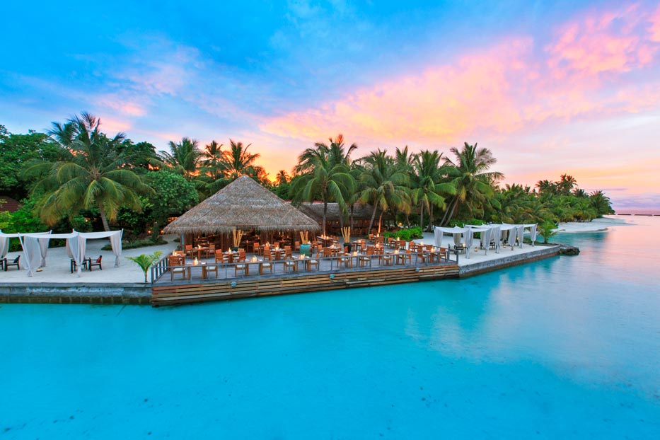 馬爾代(dai)夫椰子(zi)島